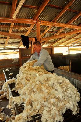 Steam Plains Shearing 022220  © Claire Parks Photography 